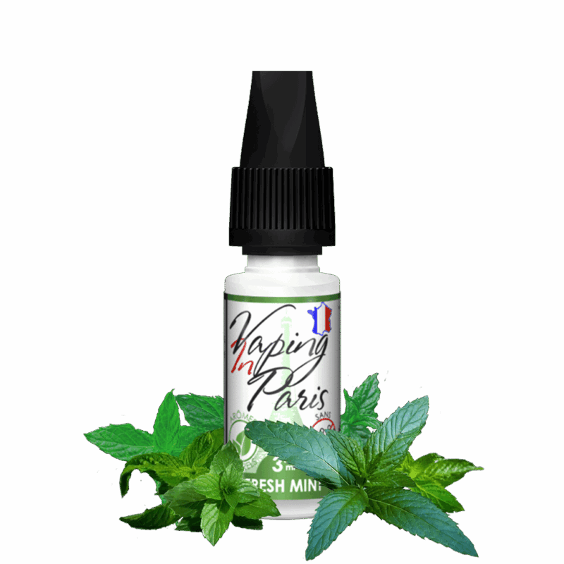 Vaping In Paris Fresh Mint 10 ML E-Liquide